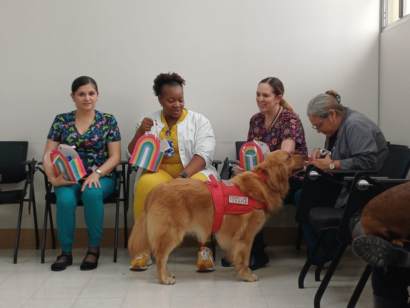 Golden perro de terapia con personal de salud